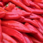 Paprika